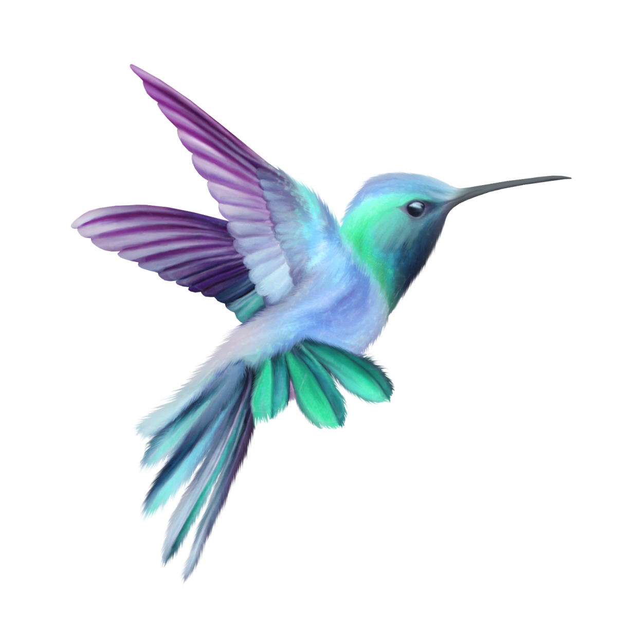 a bird flying in the air with its wings spread
