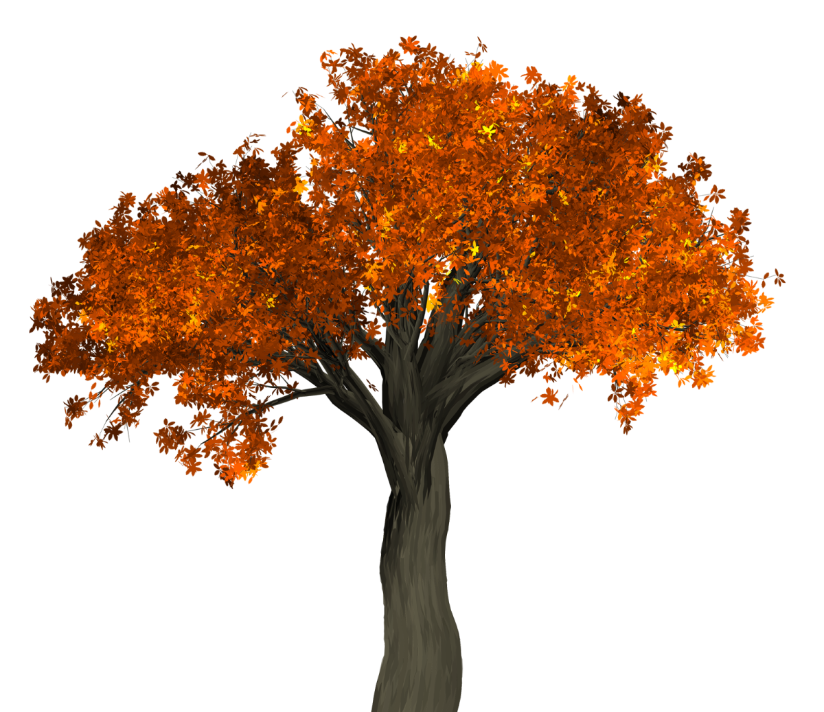 a tree with orange leaves on it
