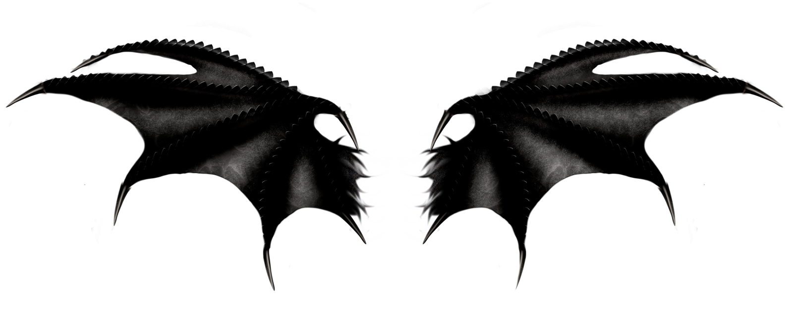 two black dragon wings on a white background
