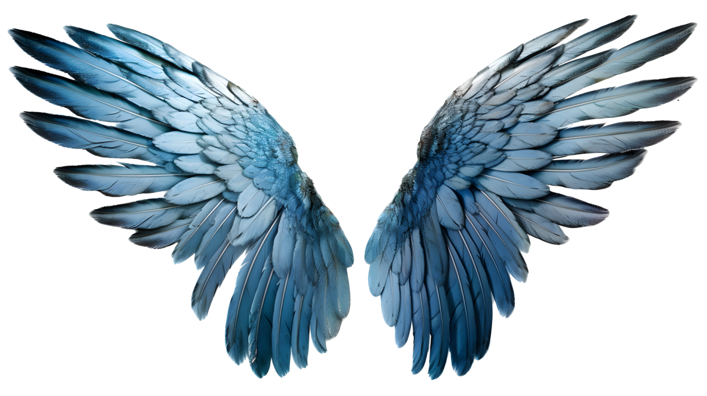 two blue wings on a white background