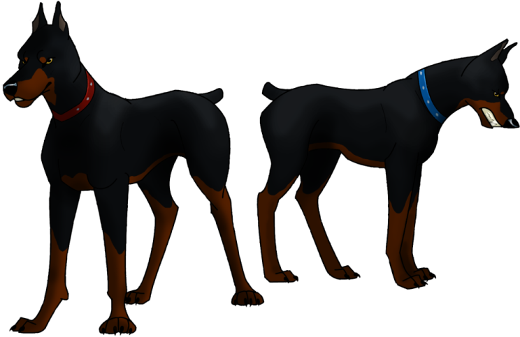 a black and brown dog standing side by side