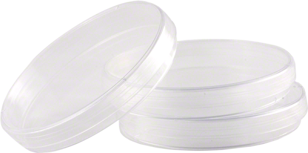 a pair of clear plastic lids