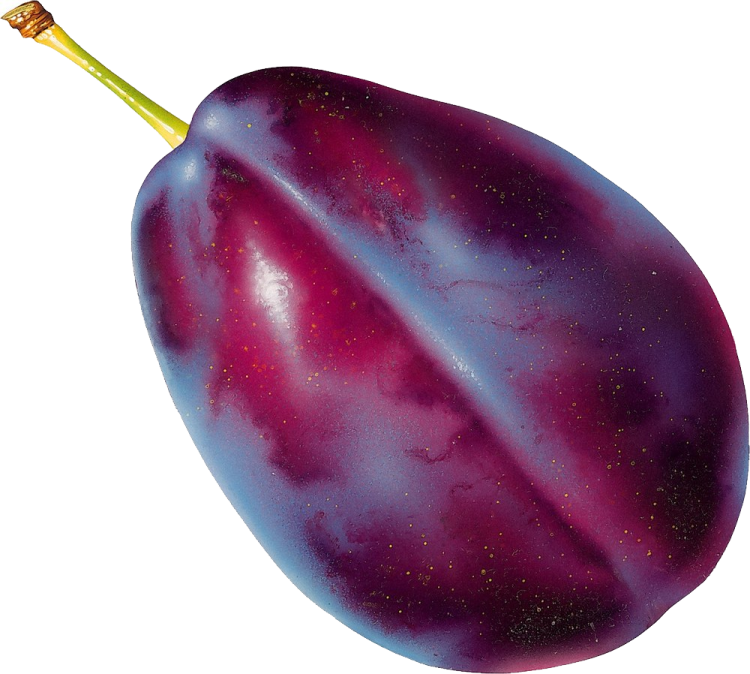 a purple egg on a white background