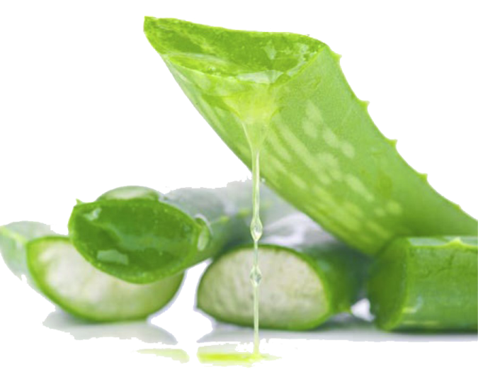 a pile of cucums on a white background