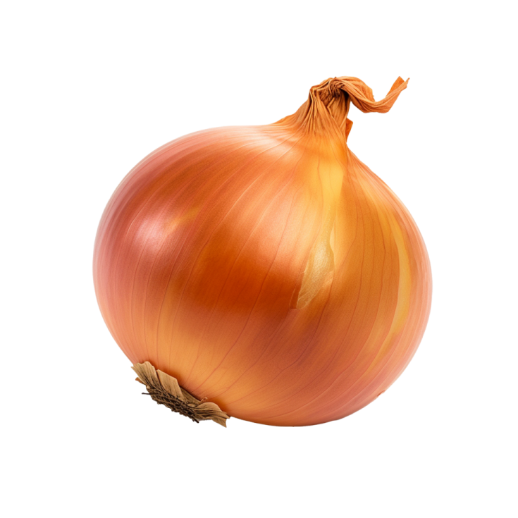 an onion on a white background