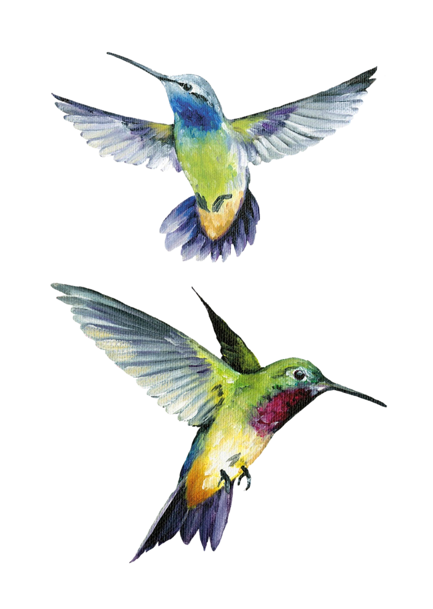two colorful hummings flying in the air