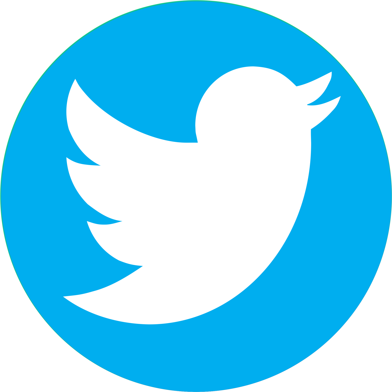 the twitter logo