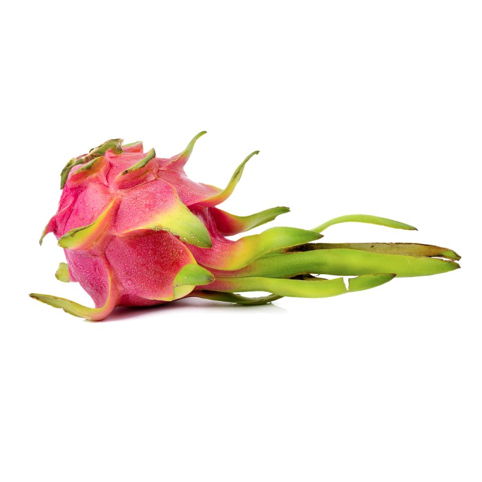 dragon fruit on a white background