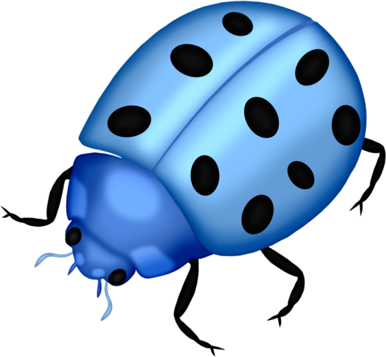 a blue lady bug with black spots