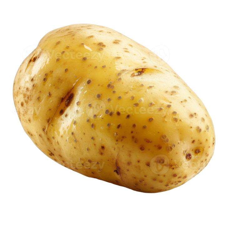 a potato on a white background