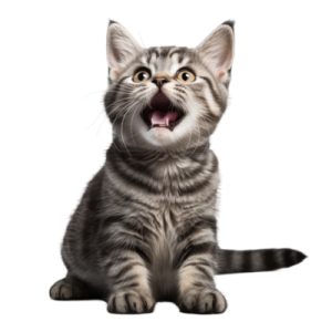 a kitten with its mouth open and tongue out