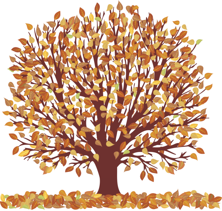 a tree with leaves on it's branches