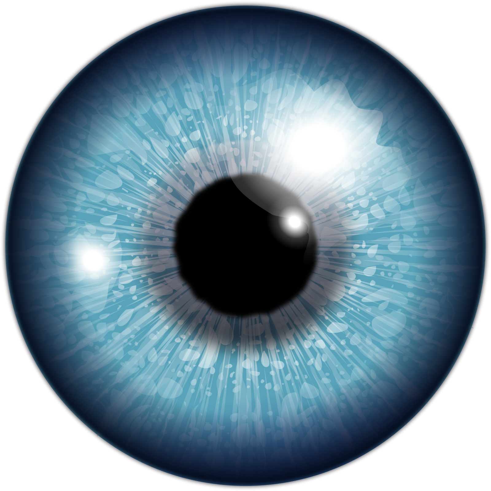 an image of a blue eye