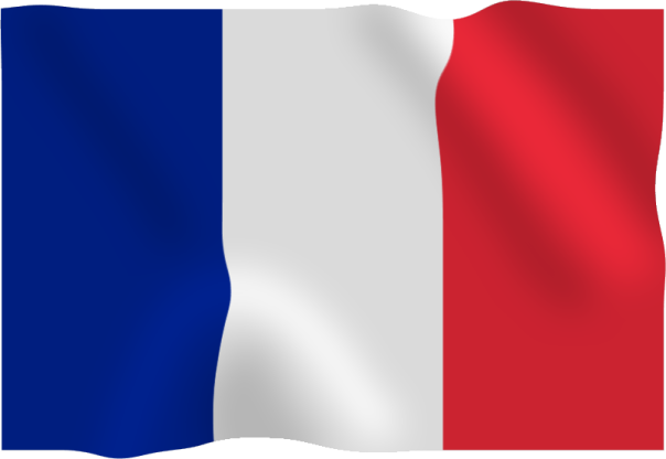 the flag of france