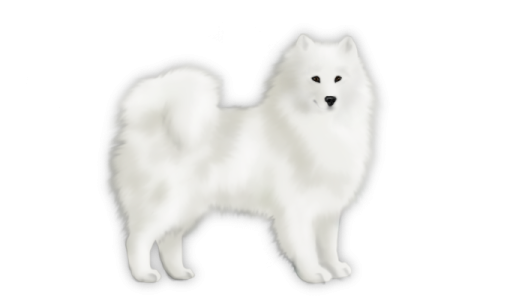 an illustration of a white dog with black eyes