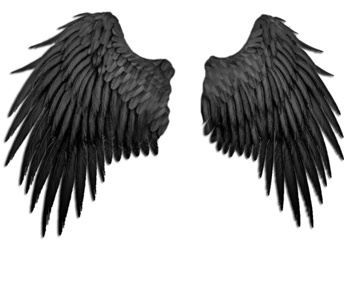 two black wings on a white background