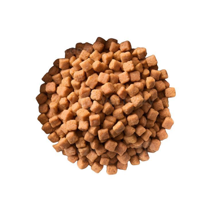 a white bowl filled with dog food
