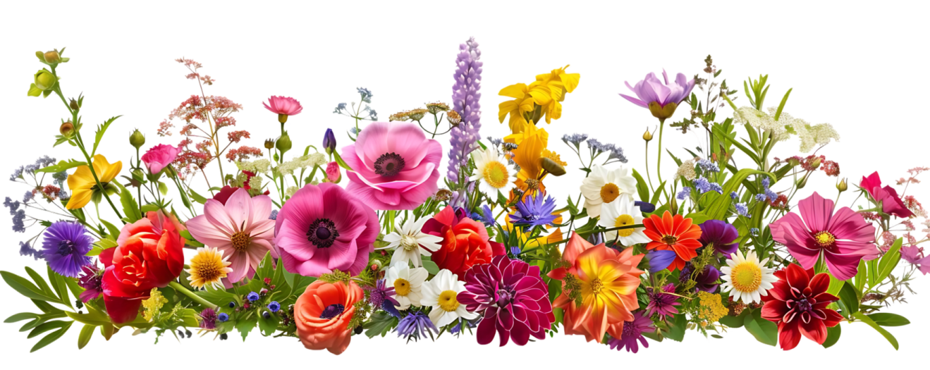 a bouquet of flowers on a white background