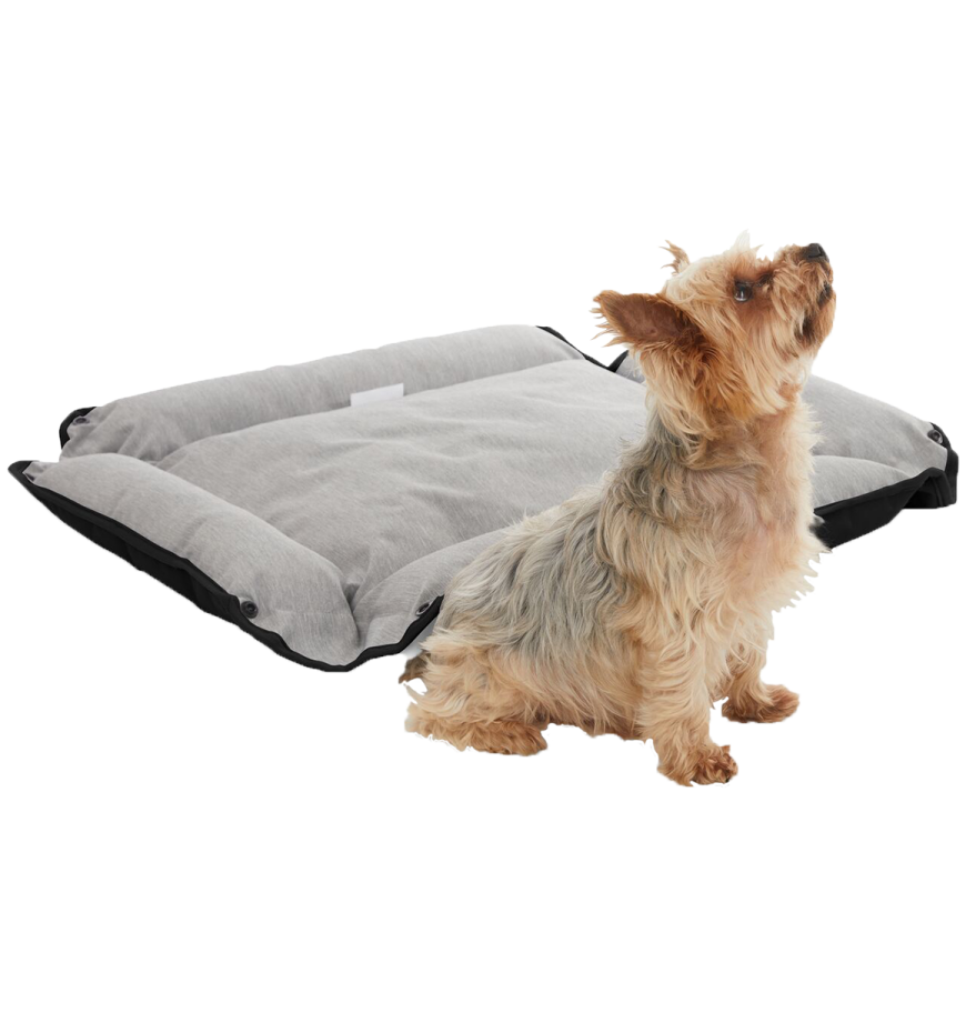 a small dog sitting on top of a pillow