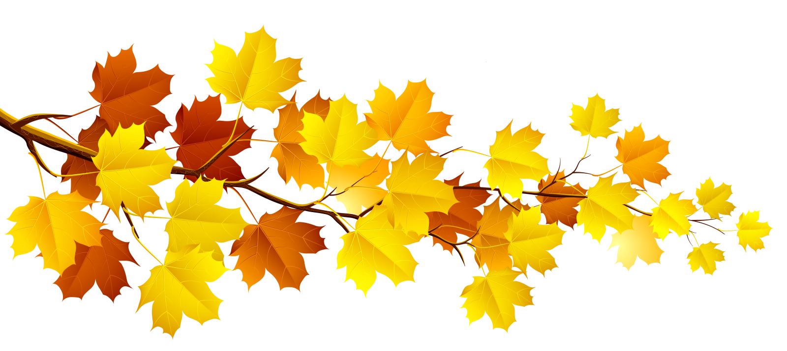 a branch with yellow leaves on it