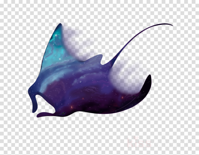 a silhouette of a whale in space with stars and nebulas