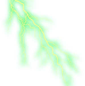 an illustration of a tree branch with green leaves