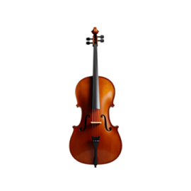 a violin on a white background