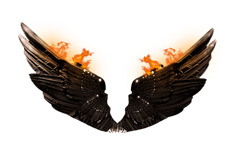 a pair of black wings with flames on them