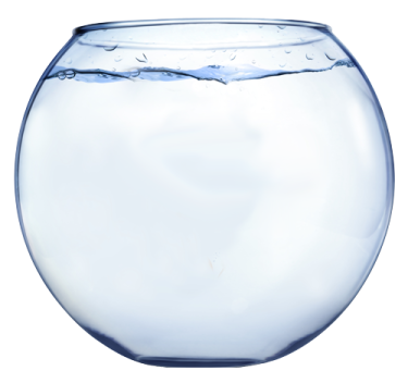 a glass fish bowl filled with water