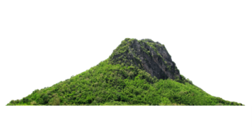 an image of a mountain with trees on it