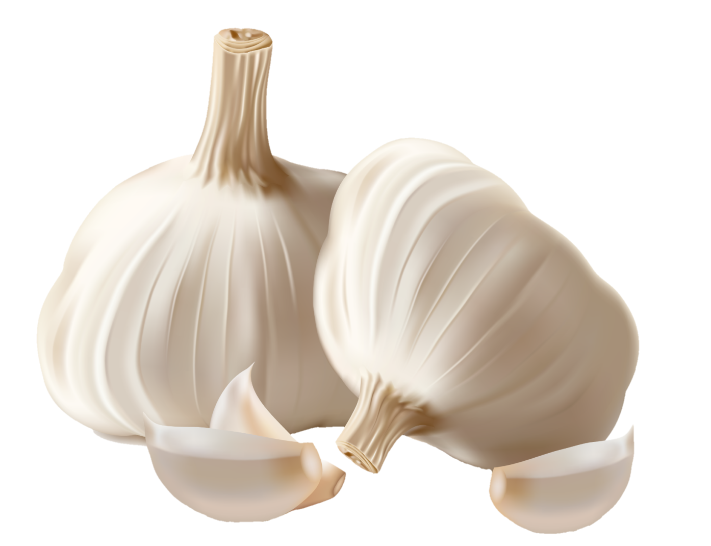 two white onions on a white background