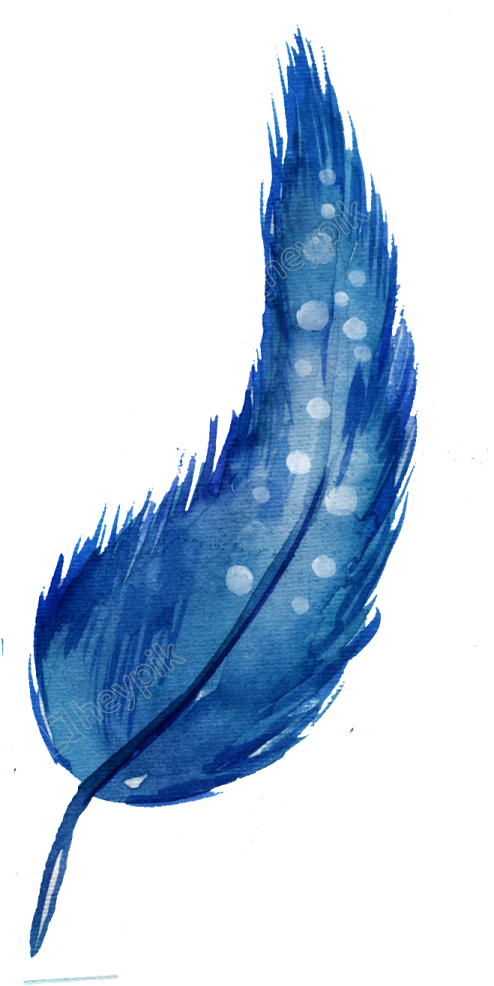 a blue feather on a white background