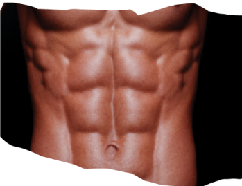 a man's torso with no shirt