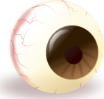 a close up of an eye