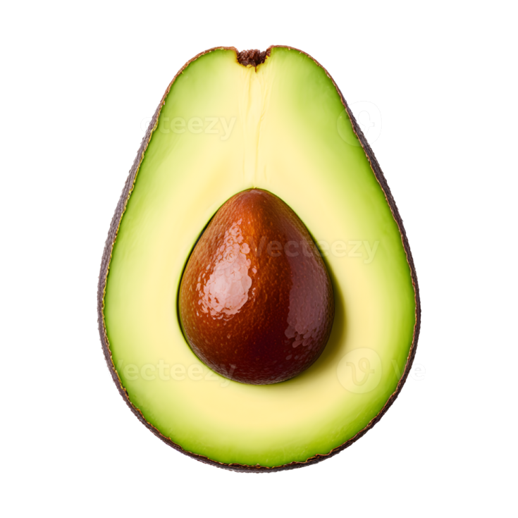 an avoca on a white background