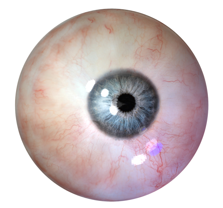 a close up view of an eye