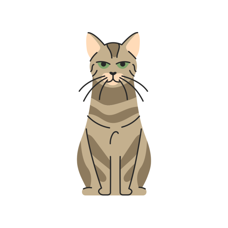 a brown cat with green eyes sitting down