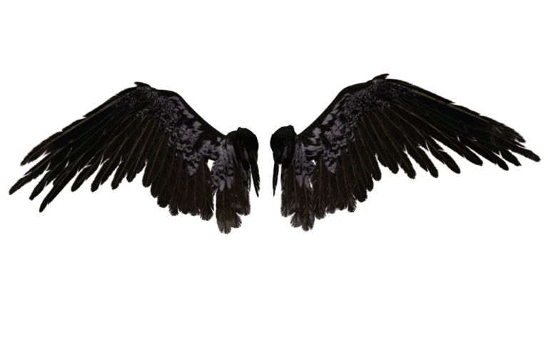 two black wings on a white background