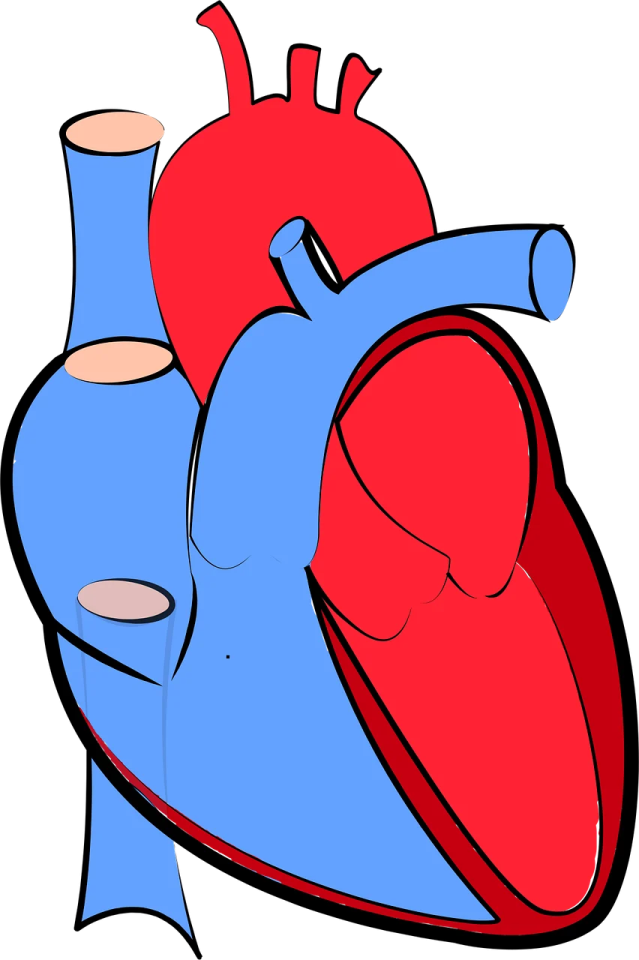 a blue and red heart