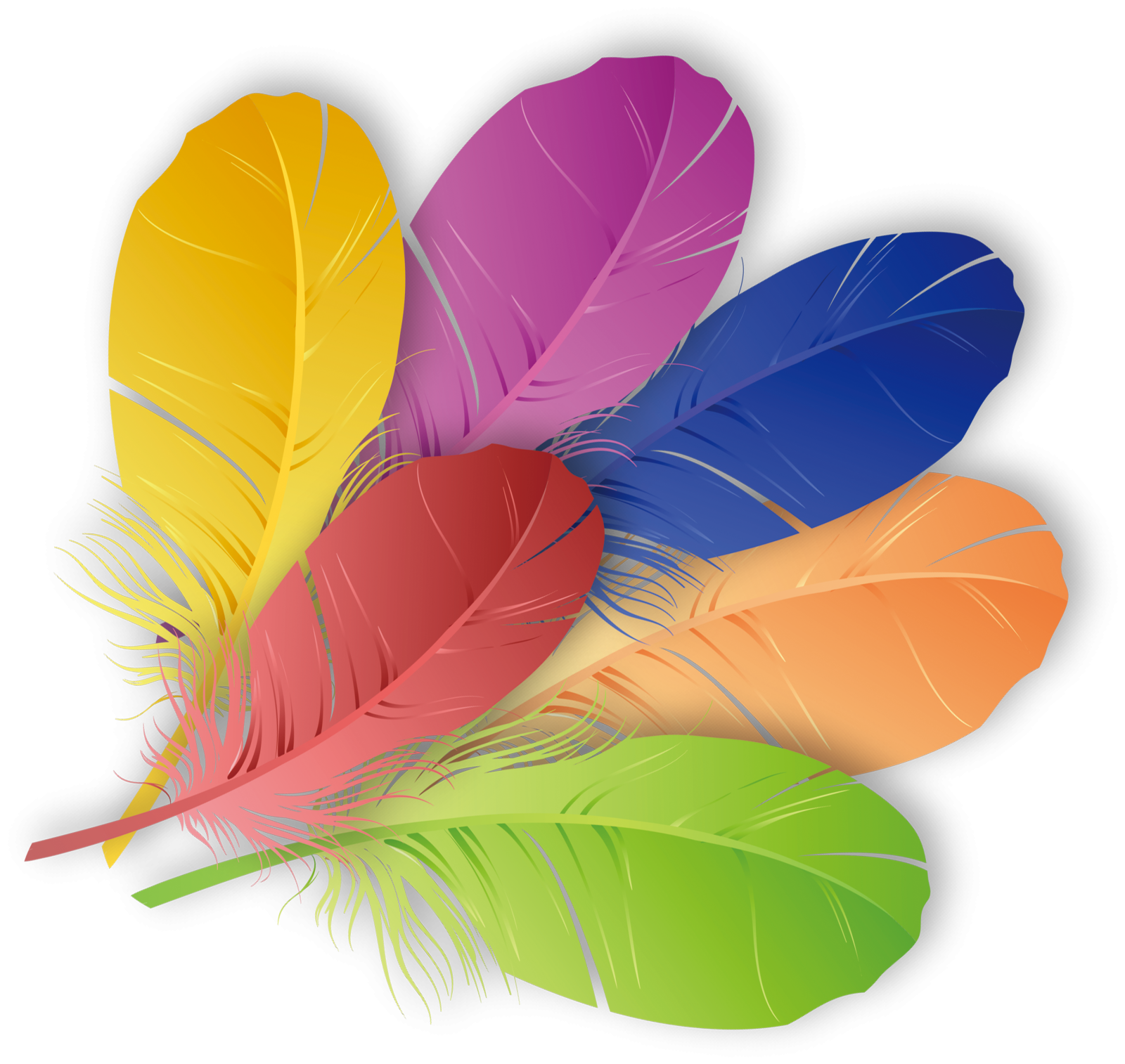 three colorful feathers on a white background