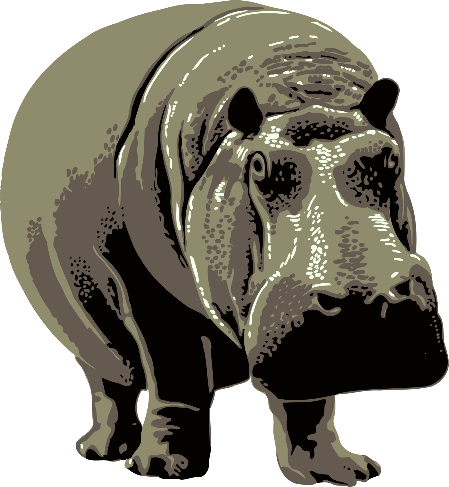 a hippo is standing on the ground