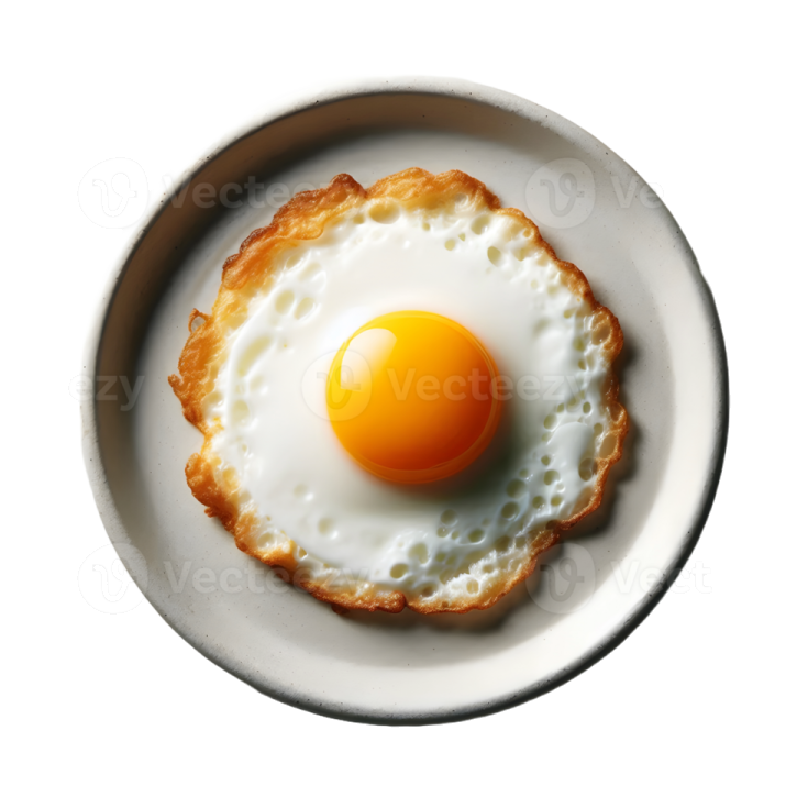 a fried egg on a white plate