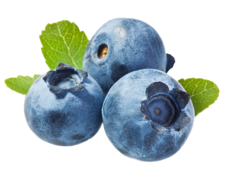 three blueberries on a white background