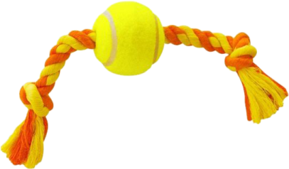 a tennis ball is tied to a rope