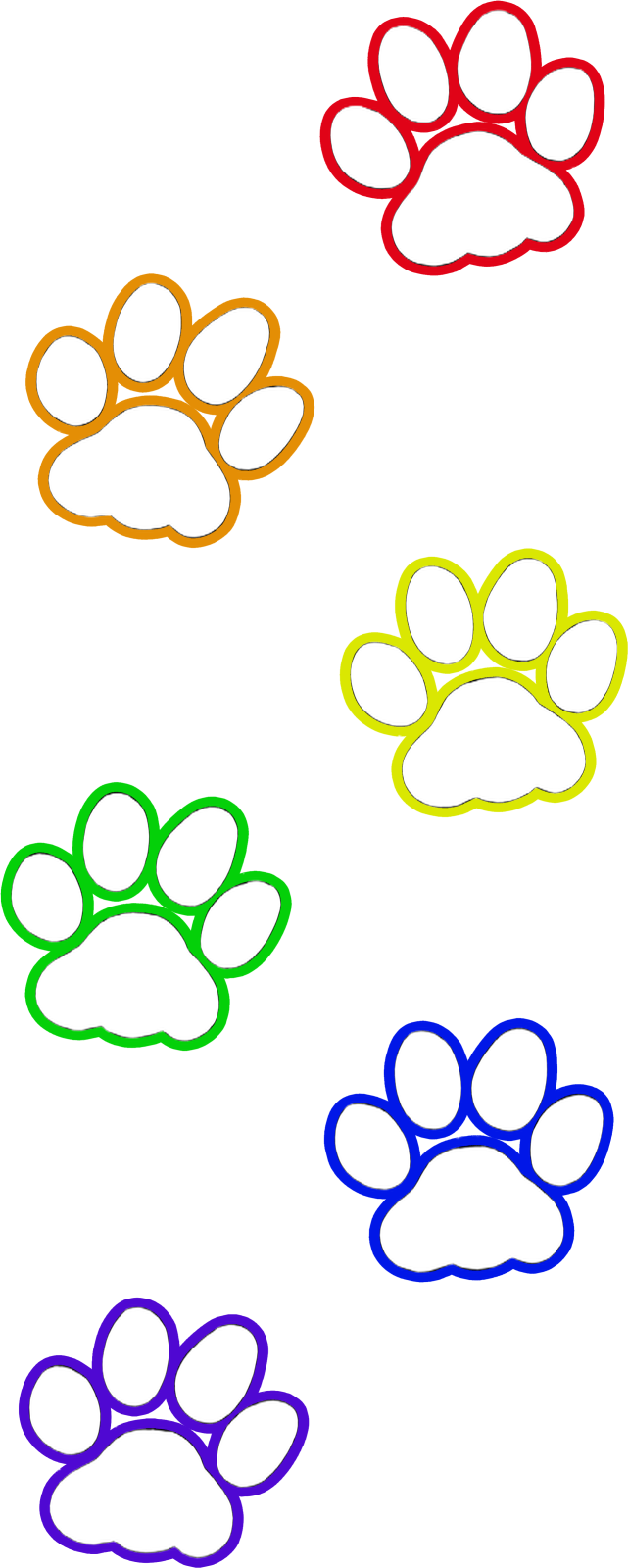a set of four different colored paws