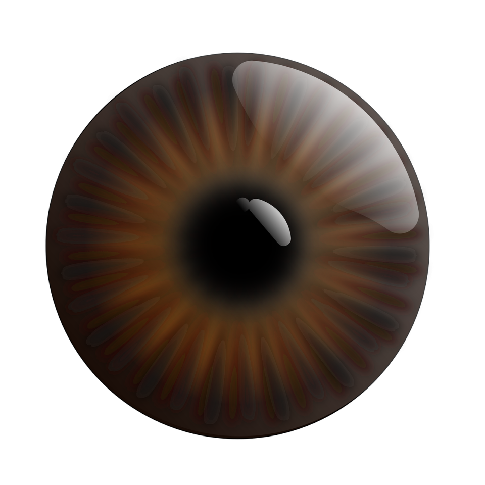 an image of a brown eye