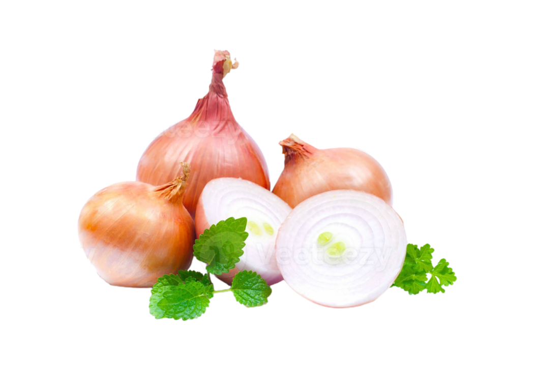 a bunch of onions and garlic on a white background