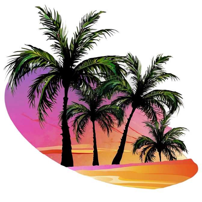 two palm trees on the beach at sunset