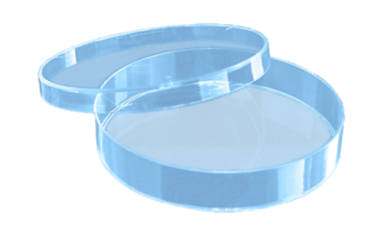 a pair of blue plastic trays