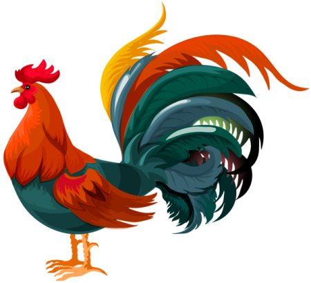 a rooster with red and yellow feathers